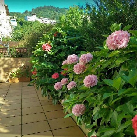شقة Ondarreta Beach & Terrace سان سيباستيان المظهر الخارجي الصورة